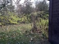kytky-podzim