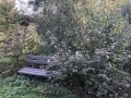 lavicka
