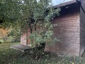 vychodni-svytny-podzim