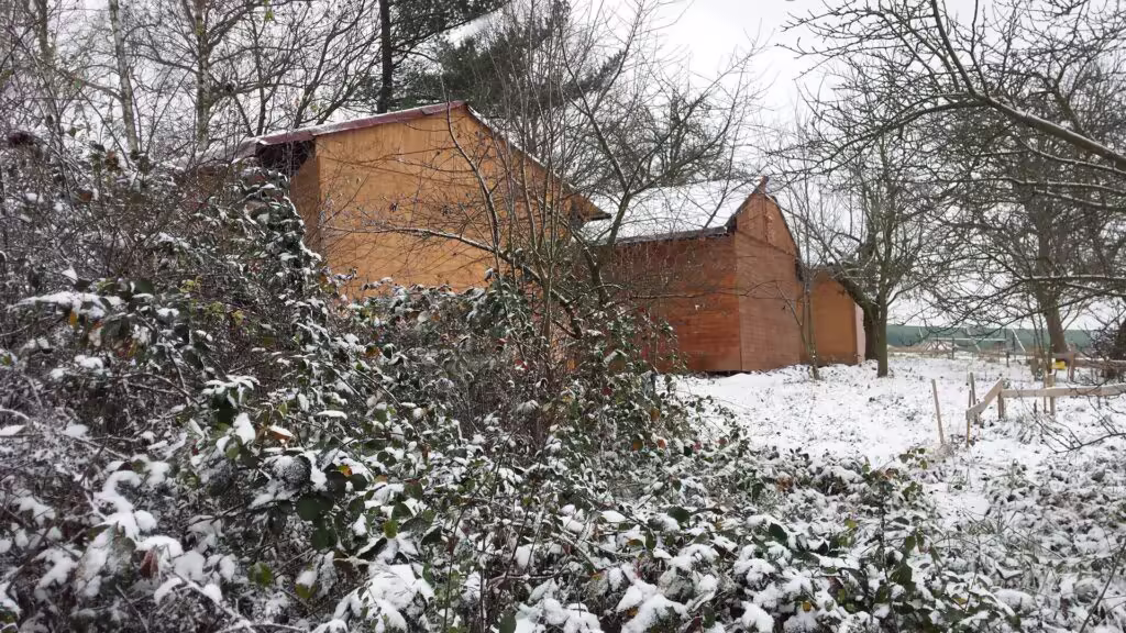 Ostružiny a maliny u jižní svatyně