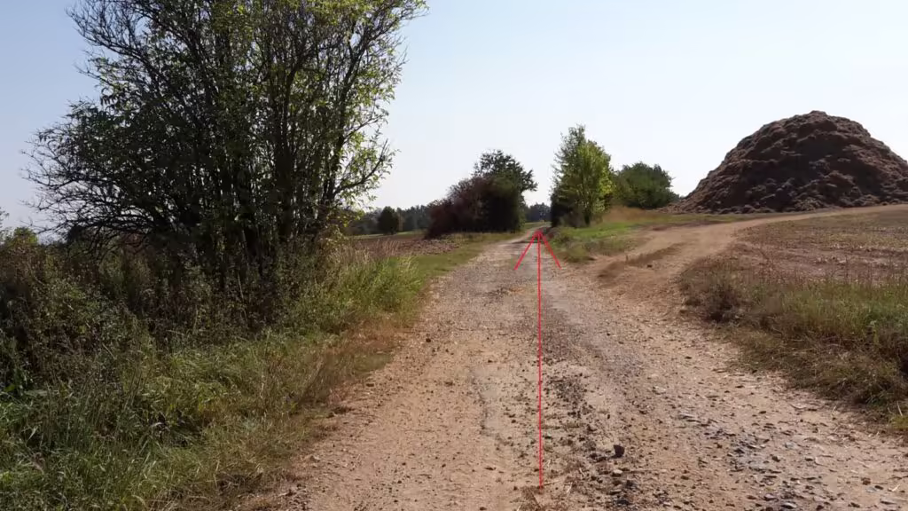 Polní cesta lemovaná stromy