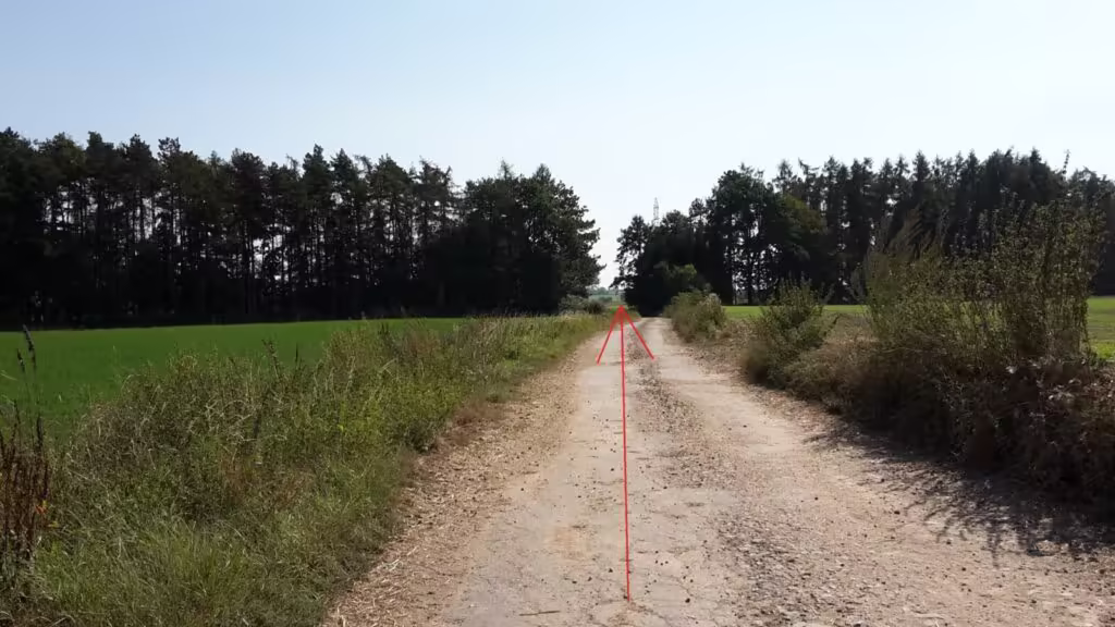 Polní cesta směřující k lesu
