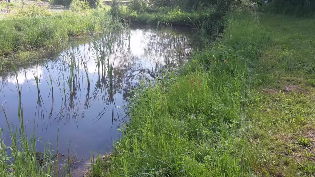 Rybníček