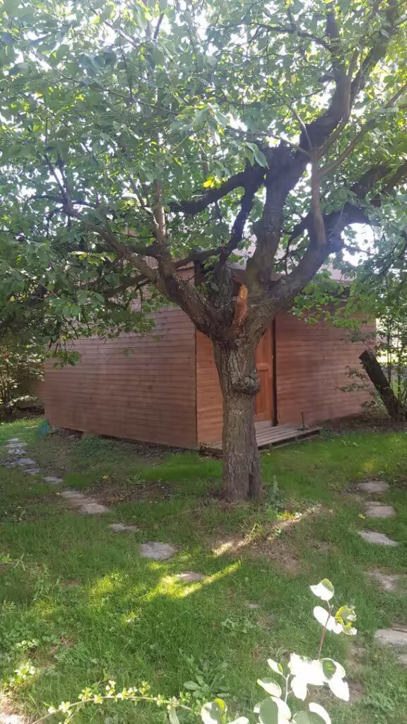 Východní svatyně za třešní
