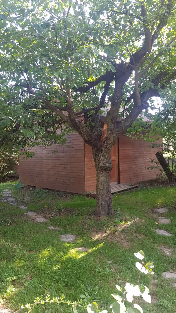 Podzim 2018