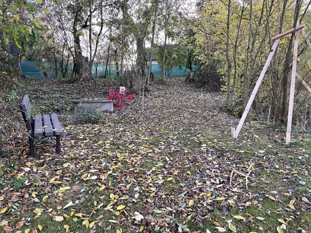 Lavička u ohniště pod stromy v podzimní zahradě