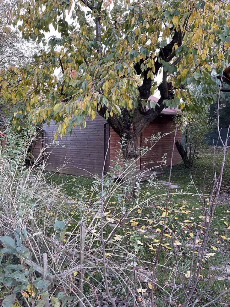 Dřevěná chatka pro pobyt ve tmě ukrytá mezi stromy