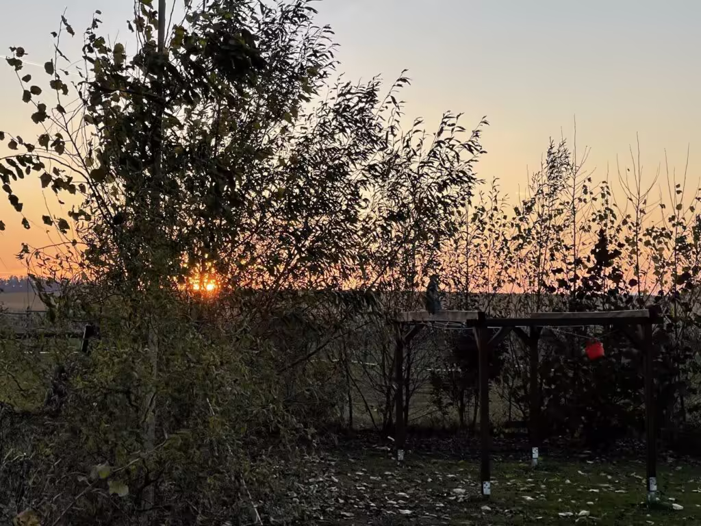 Podzimní západ slunce nad pergolou v zahradě u chatek