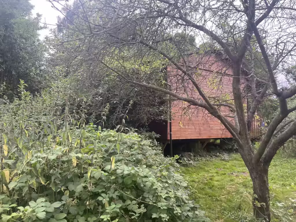 Svatyně v sadu