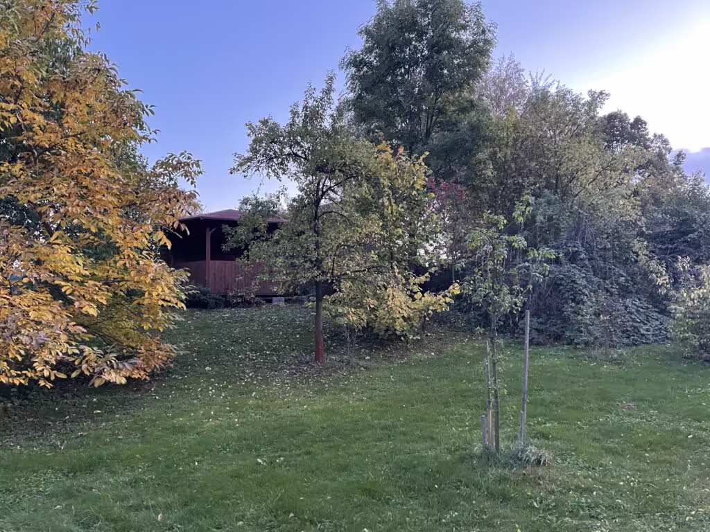 Altán v sadu obklopený ovocnými stromy