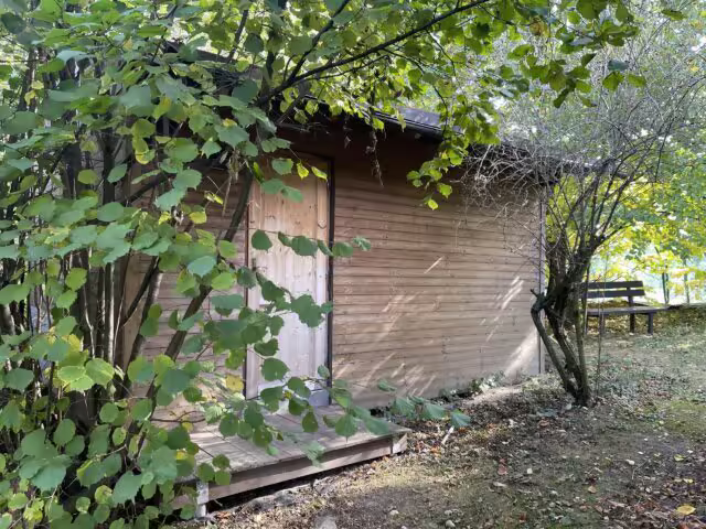 Jižní svatyně obrostlá zelení