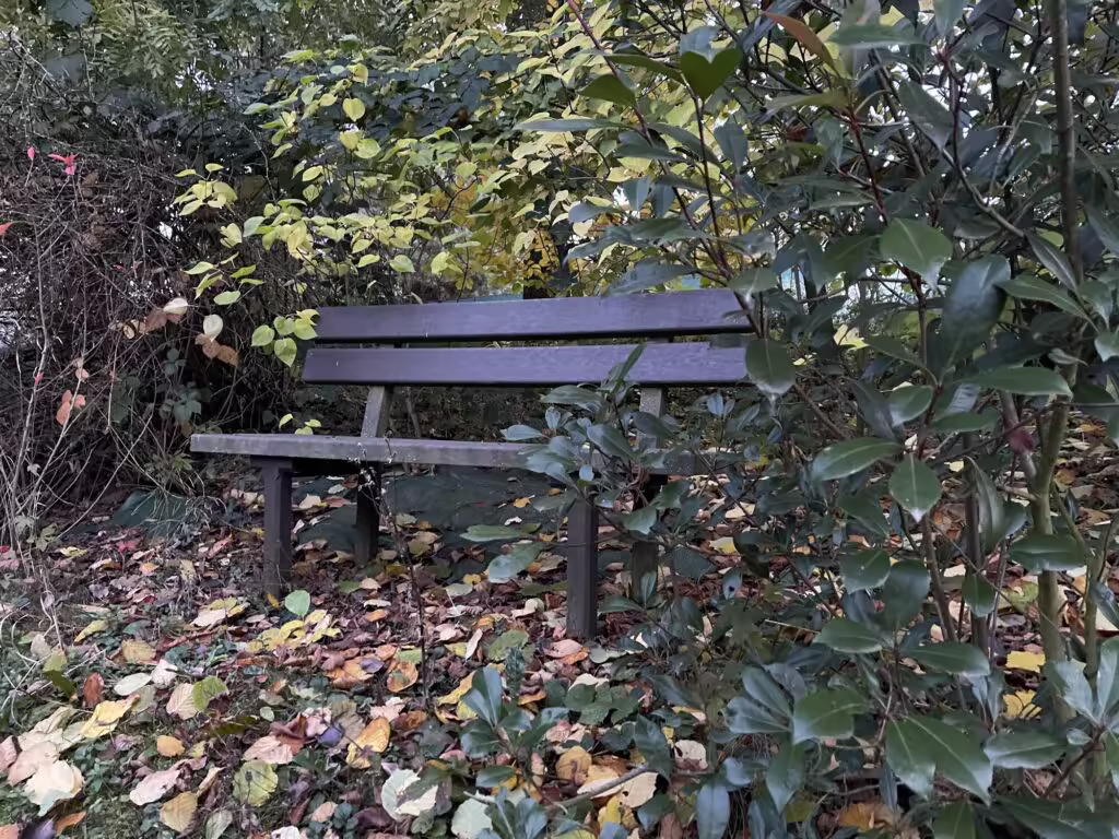Lavička mezi keři u studny v sadu