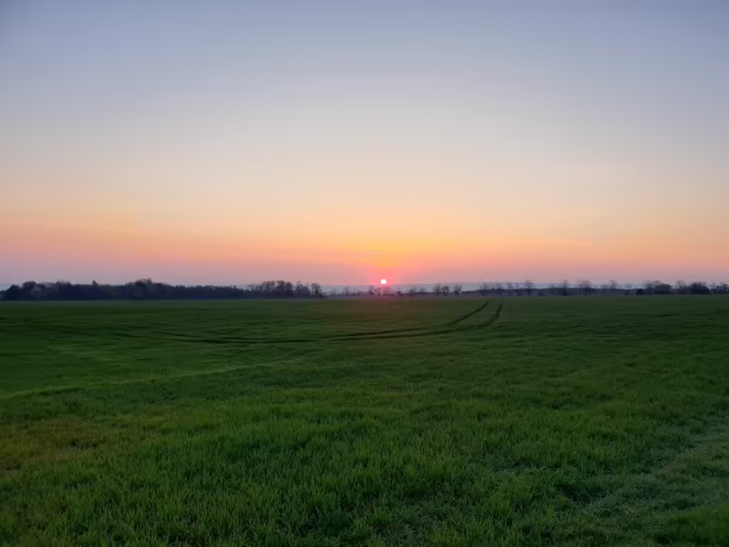 Východ slunce nad polem u centra pro pobyt ve tmě