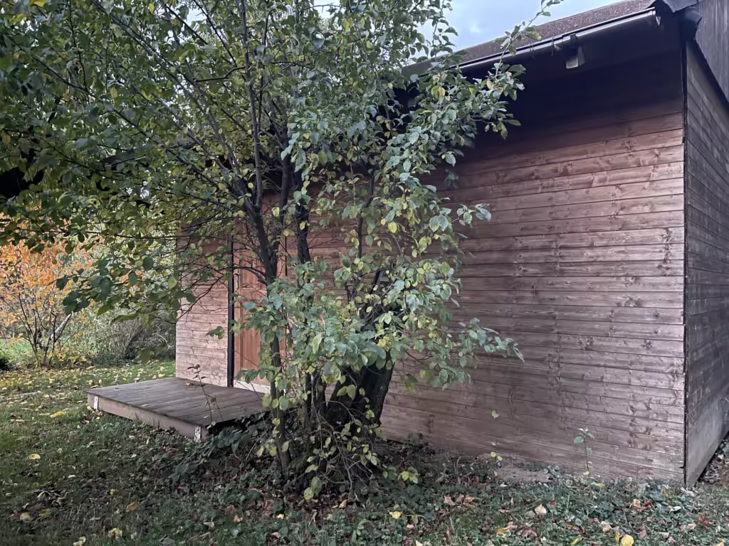 Východní svatyně pro terapii tmou mezi stromy