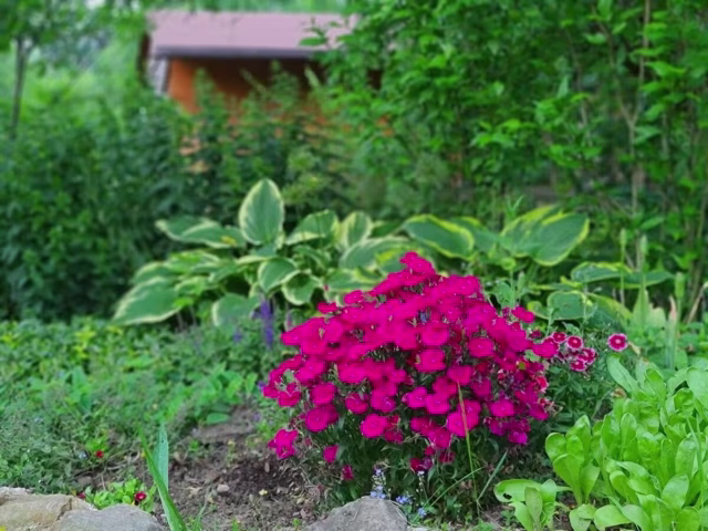 Klidné prostředí