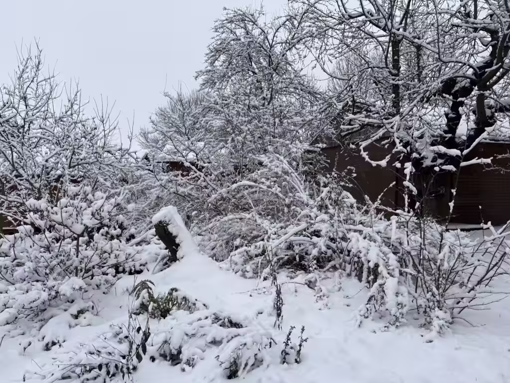 Těšíme se jak bude naše zahrádka hrát všemi barvami na jaře
