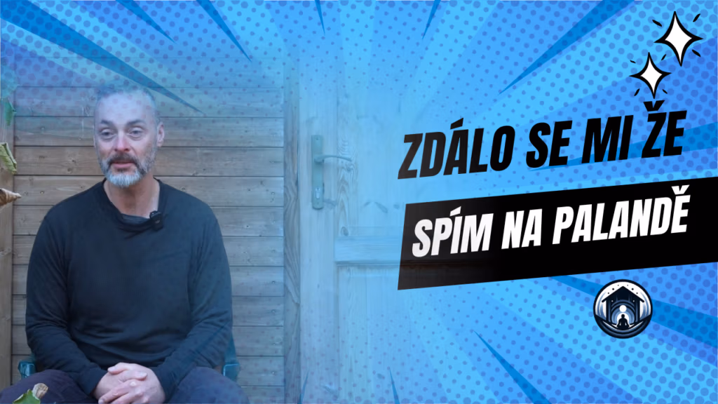 Zdálo se mi, že spím na palandě