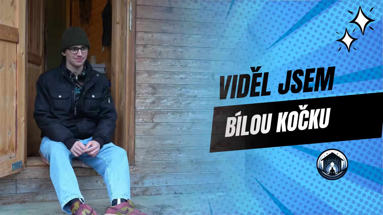 Viděl jsem bílou kočku